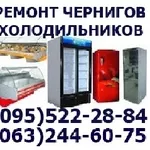 Срочный ремонт холодильников холодильника морозильной камеры Чернигов