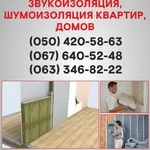 Шумоизоляция Чернигов. Шумоизоляция цена по Чернигову.