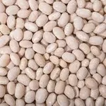 Продати квасолю. Куплю квасолю. Приймаємо квасолю на перероб