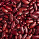 Квасоля різних сортів в наявності. Доставка по Україні