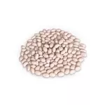 Насіння квасолі – Неві Бінс,  Пінто,  Ред Кідні,  Червона Шапочка