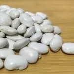 Закуповуємо квасолю великими партіями