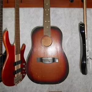 Черниговская 12 струнная Гитара Супер Экономный вариант 