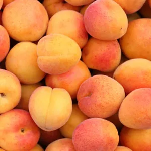 Домашние сладкие сочные абрикосы