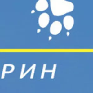 Услуги перевозок животных по Украине и за границу