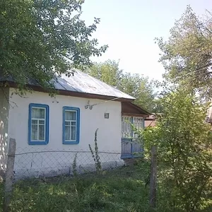 Продам дом в селе Одинцы Козелецкого района Черниговской области