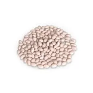 Насіння квасолі – Неві Бінс,  Пінто,  Ред Кідні,  Червона Шапочка