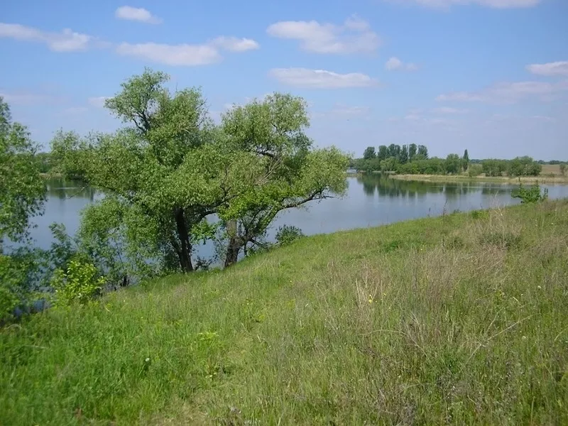 Продам дом в Черниговской области село Вересочь