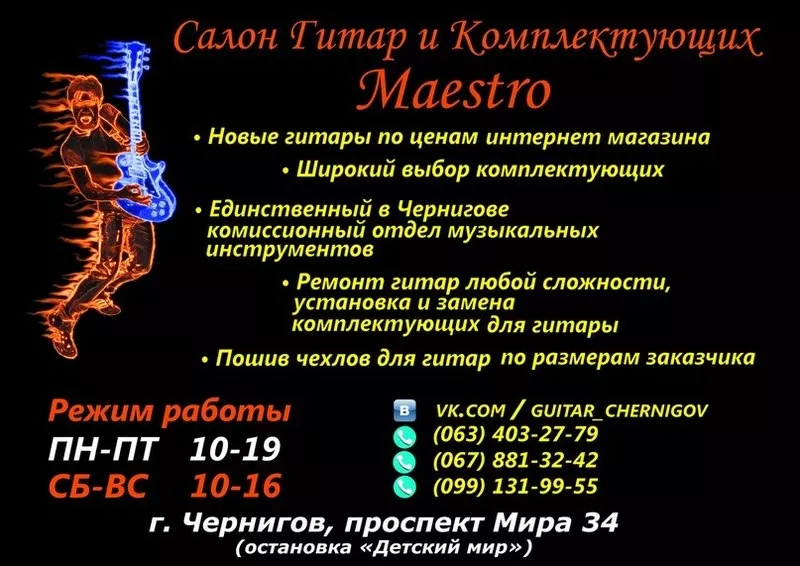 Черниговская 12 струнная Гитара Супер Экономный вариант  2