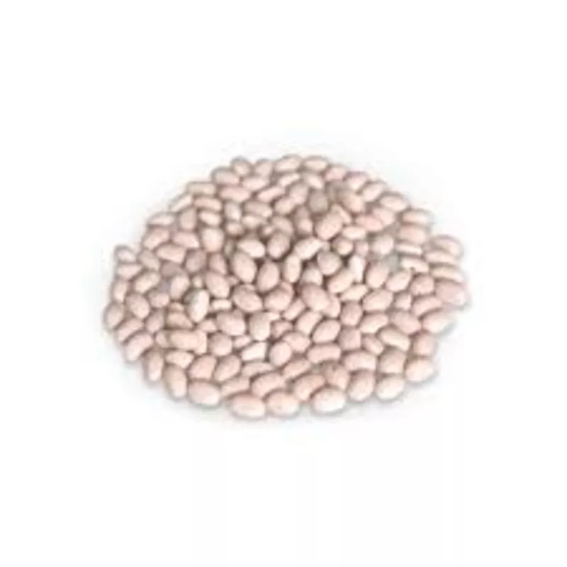 Насіння квасолі – Неві Бінс,  Пінто,  Ред Кідні,  Червона Шапочка